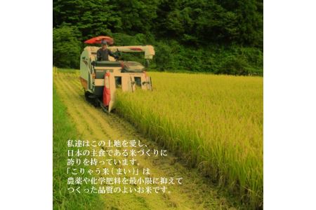 安来のお米【定期便】こりゃう米（まい）白米 5kg×3回（毎月） 令和7年産 コシヒカリ 精米