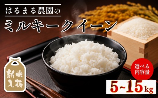 令和8年産 京都丹波福知山産 はるまる農園のミルキークイーン 精米(10kg) 【fc-CN004-R8-B】【はるまる農園】