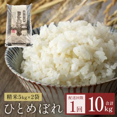 ふるさと納税 石巻市 令和7年産 ひとめぼれ 精米 10kg (5kg×2) 単品 こめ お米 ご飯 白米 ヒトメボレ