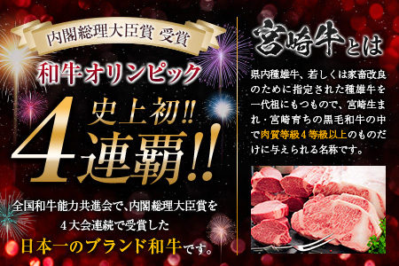 【令和7年7月から毎月配送】5か月定期便 月替わりで堪能!! 牛肉 豚肉 焼肉 セット 豚バラ 肩ロース モモ ウデ 総重量5.6kg 国産 食品 おかず BBQ バーベキュー 小分け 宮崎牛 黒毛和