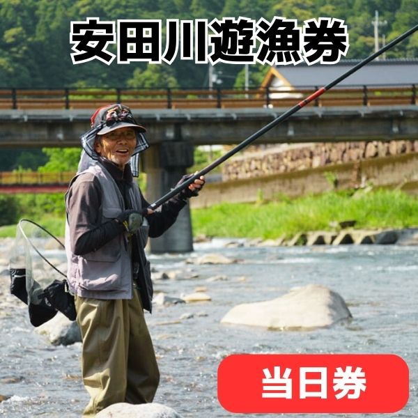 【ふるさと納税】 安田川 遊漁券（当日券） 遊漁証 釣り券 入漁券 遊漁許可証 鑑札券 清流 釣り 友釣り 鮎 あゆ 鰻 ウナギ アマゴ 安田川漁業協同組合 安田川漁協 高知県 馬路村
