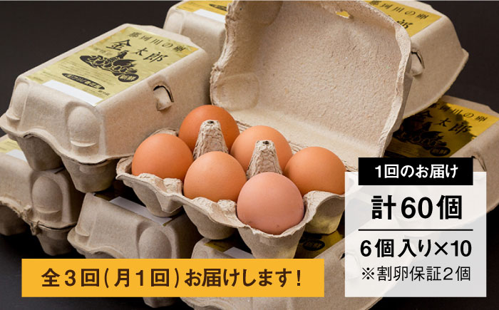 【全3回定期便】【TVで紹介！】鮮度ＡＡ級の世界最高ランク！ 金太郎卵 平飼い たまご 60個（6個入り×10パック）＜有限会社 フジノ香花園＞那珂川市 [GAM011]