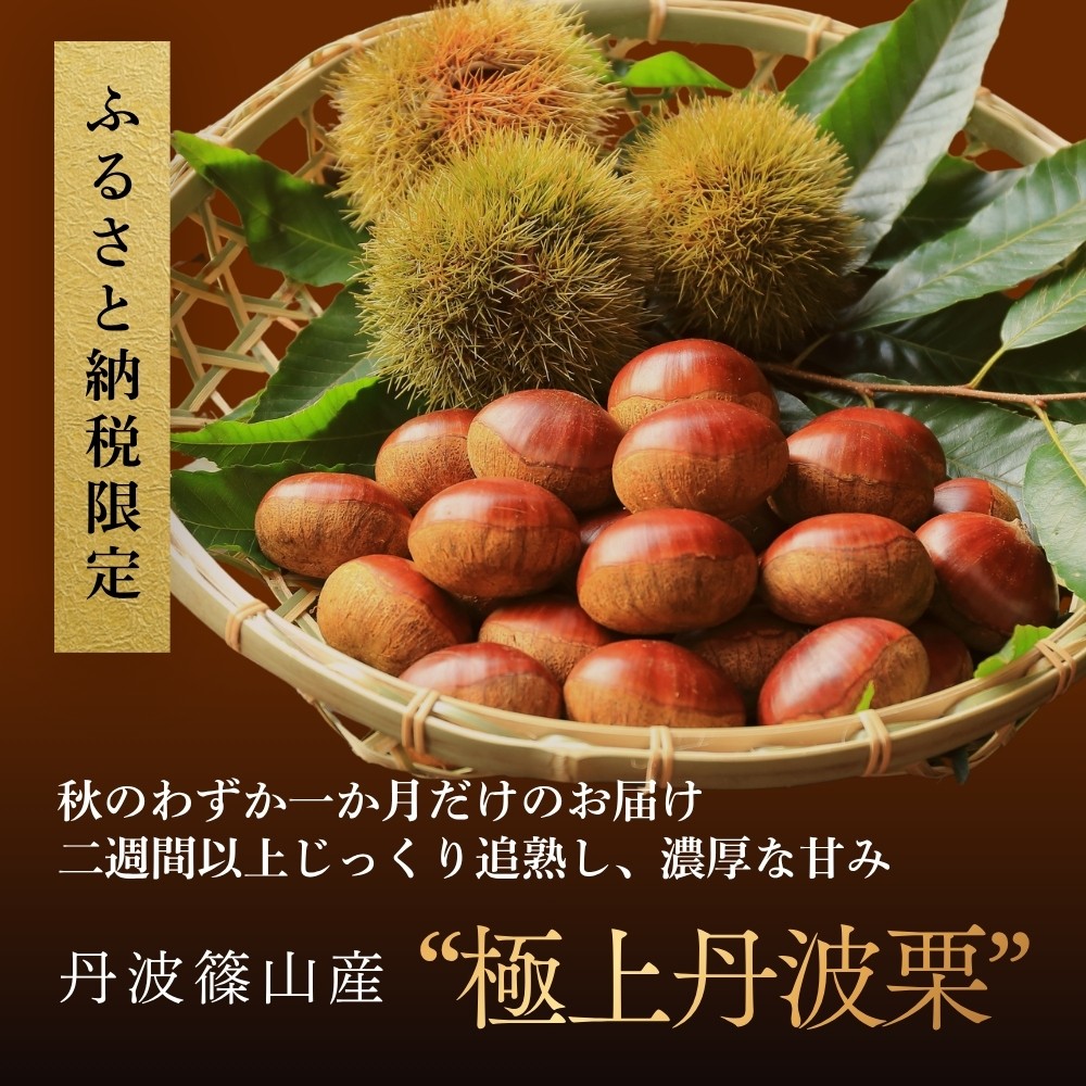 〈品評会受賞〉丹波栗 選べる 〈4L 3L 2L L お試し混載 熟成栗〉 【低温追熟】
