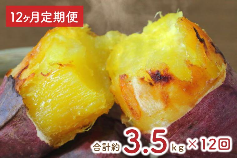【12ヶ月定期便】★少し大きめサイズ★熟成紅はるか冷凍焼き芋約2.8kg＋おまかせ品種さつまいも 合計約3kg!（EY-24）