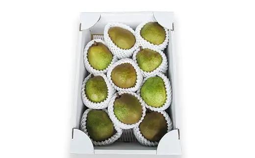 【令和8年産先行予約】 ラ・フランス 約3kg (10～11玉 秀 3L以上) 《令和8年11月上旬～発送》 『田口農園』 ラフランス 西洋梨 洋なし 果物 フルーツ デザート 山形県 南陽市 [12