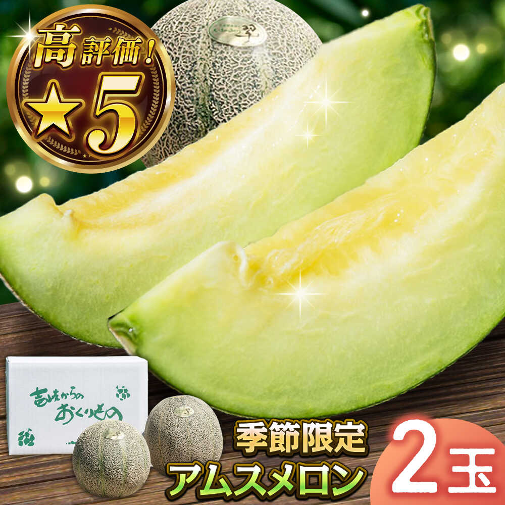 【ふるさと納税】【先行予約】アムスメロン「翠」 2玉（中箱）【2025年6月中旬以降順次発送】《壱岐市》【フレッシュメイト壱岐】[JAZ004] メロン めろん アムスメロン 果物 くだもの 果実 フルーツ デザート ギフト 贈答 プレゼント 13000 13000円