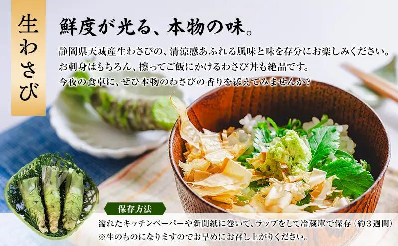わさび 伊豆天城 丸山園 わさびセット 葵 詰め合わせ わさび