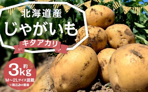 北海道産 じゃがいも （キタアカリ） 約3kg  【2026年9月下旬-2027年1月上旬迄発送予定】