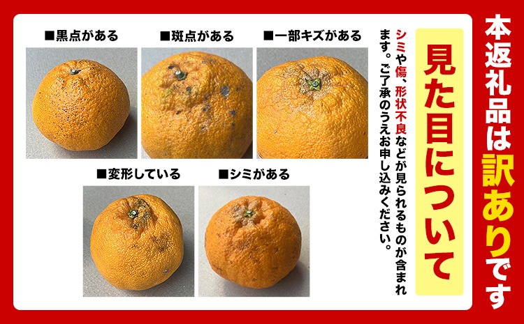 訳あり デコポン 約5kg前後(約12-24玉前後)《2026年2月上旬-4月末頃出荷》 デコポン みかん 不知火 ご家庭用 訳ありデコポン 訳アリ 熊本県産 熊本県 長洲町 糖度13度以上---ng_deko_af24_r7_15000_5kg---