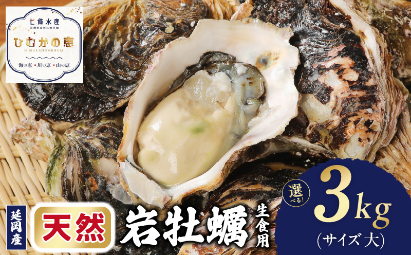 延岡産天然岩牡蠣（生食用）3kg（大）（2025年4月から発送開始） N036-YZA527