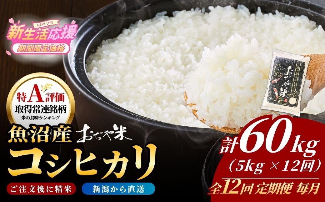 
                  【12か月定期便 コシヒカリ】 令和7年産 新潟県 魚沼産コシヒカリ「おぢや米」合計60kg(5kg×1袋×毎月お届け全12回) 徹底した品質管理でお届け！  JA魚沼 | 新潟産コシヒカリ 特A評価 魚沼産 新潟県産コシヒカリ 新潟県産こしひかり 魚沼コシヒカリ お米 米 こしひかり 白米 精米 ブランド米 特A評価地区【0002-JA07DB00-04】
                