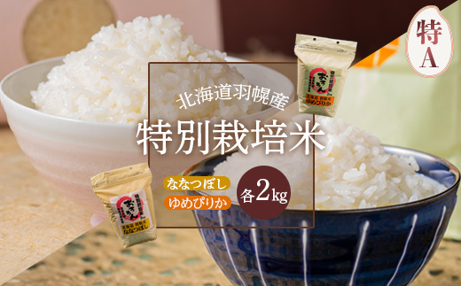 【令和5年産・お米】北海道羽幌産　特別栽培米ゆめぴりか2kg・ななつぼし2kgセット【08117】