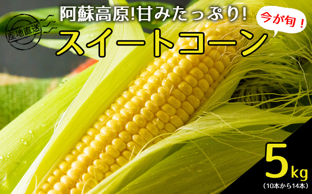 
            産地直送！みんなが大好きスイートコーン 約5kg とうもろこし 産地直送 特産品 採れたて 新鮮 甘い おすすめ 美味しい お中元 贈答用 ギフト 熊本県 阿蘇市
          