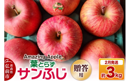 【27年2月発送】りんご 葉とらずサンふじ【贈答用】約3kg [りんご サンふじ 葉とらず ふじ 3kg お歳暮 お中元 ギフト 贈り物 贈答用 アップル おいしい 果実 果物 赤色 美味 葉っぱ 林檎 青森県 弘前市]
