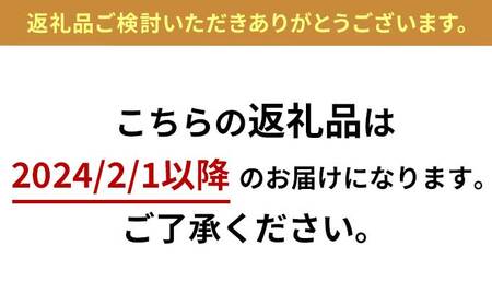 茅ヶ崎ビール アソート 8本セット　【お酒　ビール　クラフトビール　瓶入り　段ボール入り】