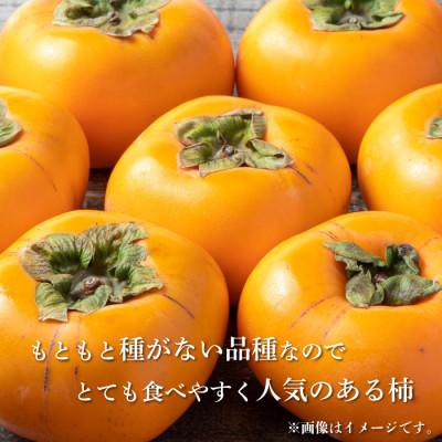 ふるさと納税 九度山町 【2025年発送】九度山グルメ市場の種なし柿 7kg以上 |  | 01