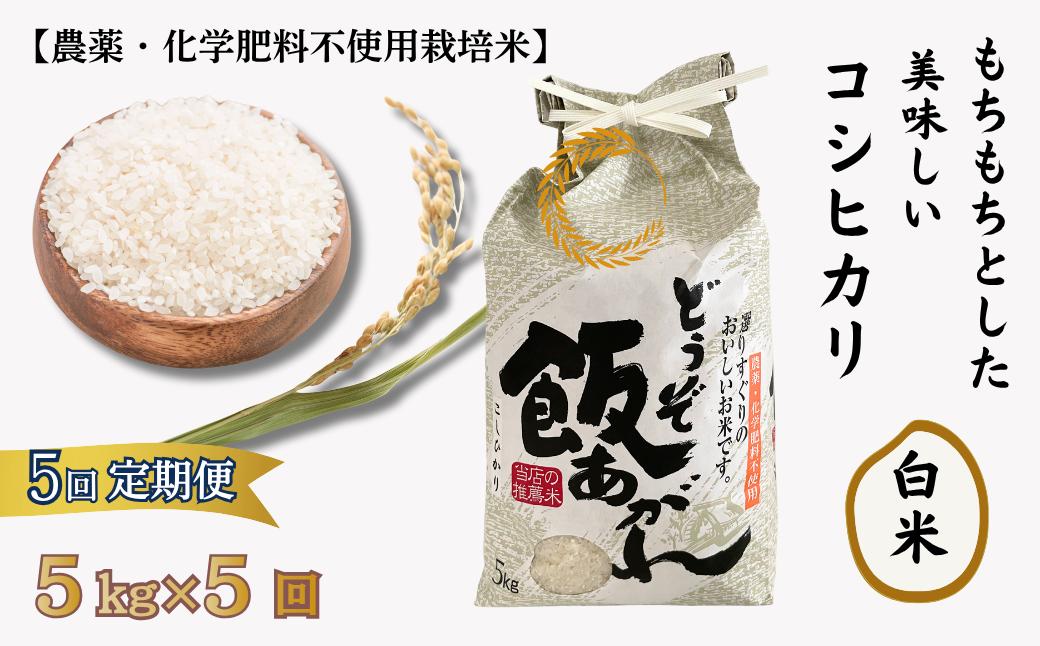 
            【定期便5回】もちもちとした美味しいコシヒカリ 白米【農薬・化学肥料不使用栽培米】5㎏×5回（計25kg）：C111-011
          