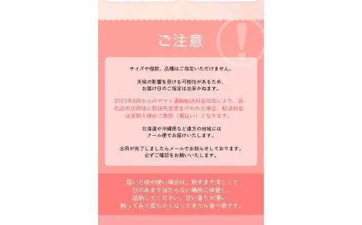 【先行予約受付】和歌山県産の美味しい 桃 約3.6kg(11～15玉) /もも 果物 フルーツ 和歌山県 ※6月中旬～8月上旬頃順次発送予定 ※離島への配送不可 【mat501-r-3d6】