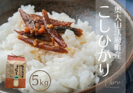 【令和7年産】コシヒカリ 5kg 特別栽培米 鳥取県江府町産 こしひかり 精米 産地直送 5ｷﾛ 0931