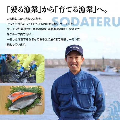 ふるさと納税 むつ市 【期間限定発送】海峡サーモン特選切身セット8切(4種8点) |  | 02