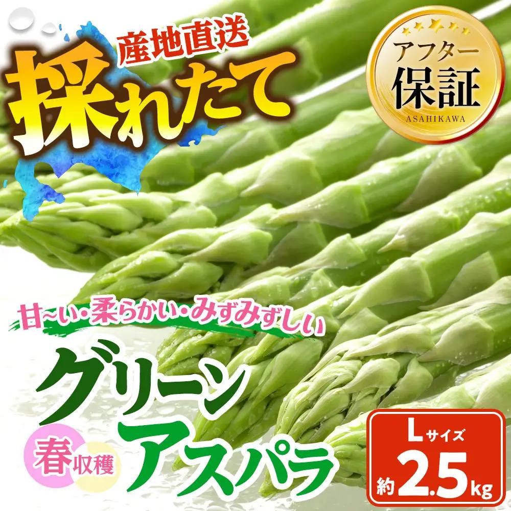 春収穫グリーンアスパラLサイズ（500g×5）約2.5kg（2027年6月上旬から発送開始）| アスパラ 北海道_05532