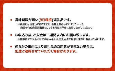 先行予約 訳あり 梨 なし 濃あま梨 約1.8kg 品種おまかせ 2026年8月中旬から9月下旬発送予定