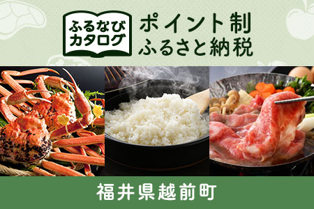 【有効期限なし！後からゆっくり特産品を選べる】福井県越前町カタログポイント