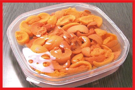 エゾバフンウニ(黄色)塩水パック100～110g×1P C-56019