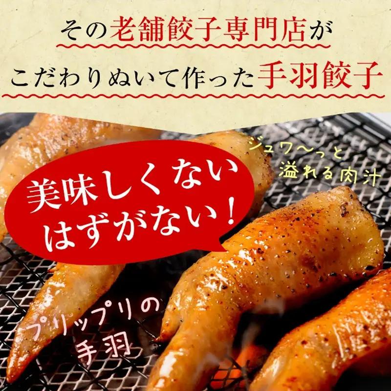【TV番組で餃子日本一獲得!】 馬渡のもっちり 餃子 手羽餃子 国産 小分け 肉 人気