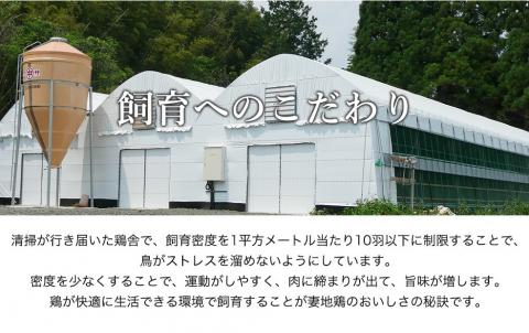 「妻地鶏」炭火焼プレミアム詰合せ45（100ｇ×7個）＜1.5-112＞