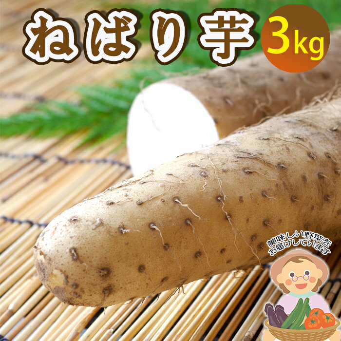 【ふるさと納税】 山芋 長芋 岩手県産 ねばり芋 3kg ／ ねばりいも 野菜 長いも ながいも 山いも やまいも やま芋 農家直送 産地直送 とろろ とろろご飯 ご飯のおとも ご飯のお供 やまかけ 山かけ 旬 新鮮 期間限定 季節限定 八幡平市産 おすすめ 岩手県 八幡平市 送料無料