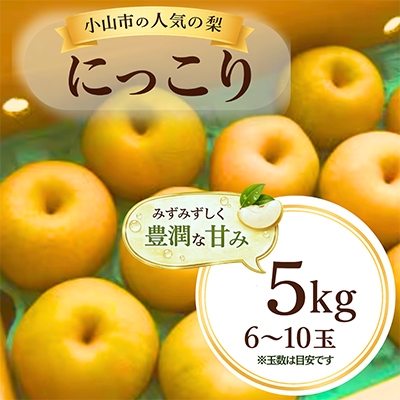 
                  ずっしり5kg＜にっこり＞　栃木県小山市産の梨　_梨 にっこり フルーツ 果物 栃木 小山市 甘い 美味しい 人気 おすすめ 送料無料 ギフト 贈答【1441930】
                