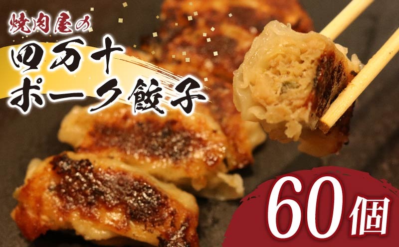 ヤマジュウの特選！四万十ポーク手作り餃子６０個　yj068