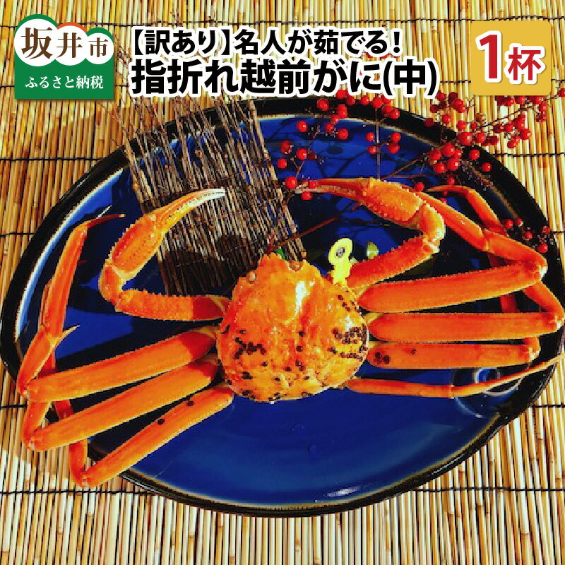 【ふるさと納税】【訳あり】【先行予約】名人が茹でる とれたて指折れ越前がに(中) 1杯 やまに仕込み越前ガニ 【2025年11月〜2026年3月発送】【カニ かに 蟹 越前ガニ 越前蟹 越前ズワイ ずわいがに ズワイガニ ボイルガニ わけあり 足折れ 国産 県産】