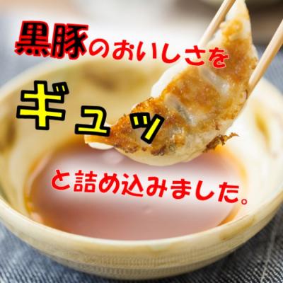 ふるさと納税 薩摩川内市 【6回定期便】かごしま黒豚餃子 合計240個 ES-503 |  | 01