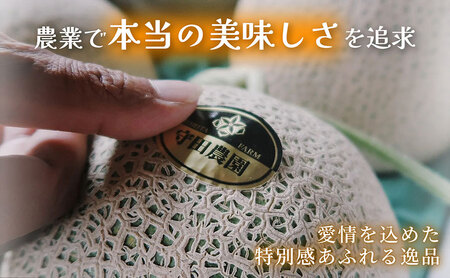 【定期便2ヵ月】春野菜 鮮度抜群 富良野産 アスパラガス サイズ無選別 2kg×1箱 全2回｜北海道富良野市 4～5月上旬発送 シャキシャキ食感 贅沢 ギフト プレゼント アスパラ グリーンアスパラ 