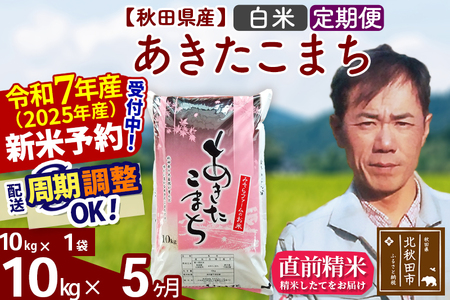 ※令和7年産 新米予約※《定期便5ヶ月》秋田県産 あきたこまち 10kg【白米】(10kg袋) 2025年産 お届け周期調整可能 隔月に調整OK お米 みそらファーム