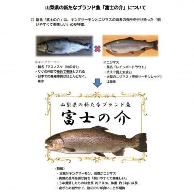 ふるさと納税 北杜市 富士の介 冷燻 3パックセット (合計 300g) |  | 03