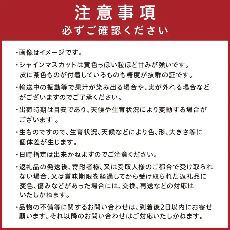 訳ありシャインマスカット 1.2kg以上（2～3房入り）| シャインマスカット
