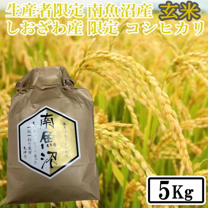 【ふるさと納税】【令和7年産】【5kg】玄米 しおざわ産限定 生産者限定 南魚沼産コシヒカリ | お米 こめ 食品 コシヒカリ 人気 おすすめ 送料無料 魚沼 南魚沼 南魚沼市 新潟県 玄米 産直 産地直送 お取り寄せ