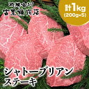 【ふるさと納税】飛騨市推奨特産品 飛騨牛 5等級 ヒレ肉 シャトーブリアン ステーキ 200g × 5枚 合計1kg [Q819]