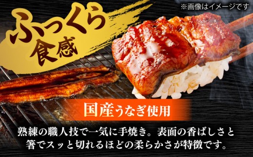 【うなぎの美味しさはタレで決まる！】うなぎ 自慢の味・国産活うなぎ蒲焼（2本入）| うなぎ タレ 蒲焼 国産 美味しい うな丼 鰻重 魚 鰻 蒲焼き 2本 2尾 2人前 国産うなぎ 活うなぎ タレ付き
