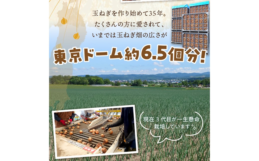 【予約：2024年9月から順次発送】日本一の生産地！北海道北見市の玉ねぎ 20kg！オニオンスープ2本付き♪ ( 玉ねぎ 玉葱 たまねぎ タマネギ オニオン スープ 即席 料理 )【164-0004-2024】