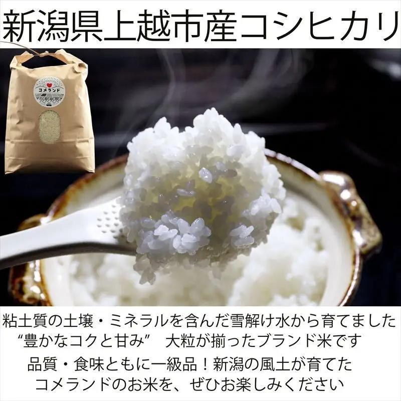【令和8年8月下旬発送】令和7年産 新潟県上越市産 コシヒカリ 5kg 5キロ 精米 新潟県上越市板倉区 コメランド こしひかり