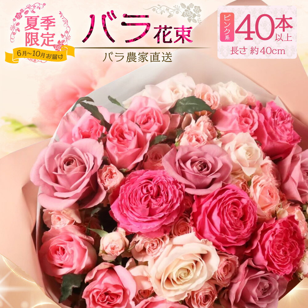 【ふるさと納税】【 もうすぐ受付終了・9/30まで】【日付指定必須・ギフト対応可】 夏季限定 ばら農家直送！バラ花束40本以上お届け(ピンク系) TB-6｜鹿児島県 南大隅町
