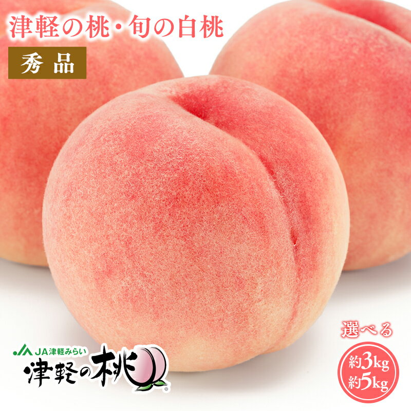 【ふるさと納税】≪8月中旬〜8月下旬発送予定≫津軽の桃 旬の白桃 約3kg 約5kg 【青森県 平川市 津軽みらい農業協同組合】 秀品 フルーツ 果物 桃 もも モモ 白桃 ピーチ はくとう 平川市産 光センサー 贈答 お取り寄せ デザート 先行予約 旬 レビューキャンペーン