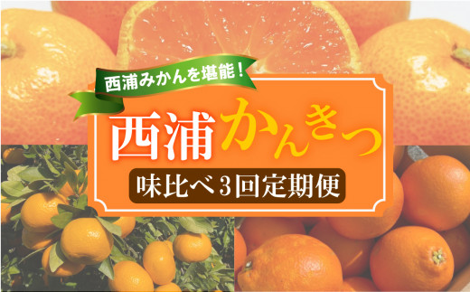【 柑橘 定期便 】 訳あり 味比べ 3回 定期便 由良 みかん 2.5kg 寿太郎 みかん 2.5kg ブラッドオレンジ 2㎏ 沼津 静岡 西浦
