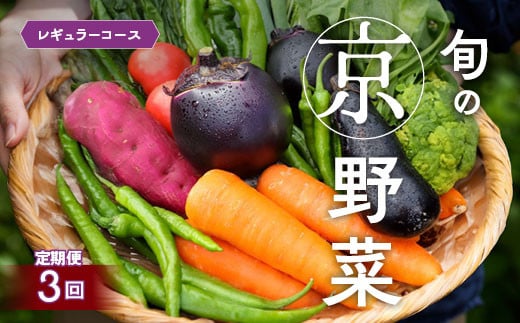 
            【3回定期便】旬の京野菜　毎月お届けレギュラーコース（全3回）
《野菜定期便 野菜詰め合わせ 野菜セット 京野菜 旬の野菜 新鮮野菜》
          