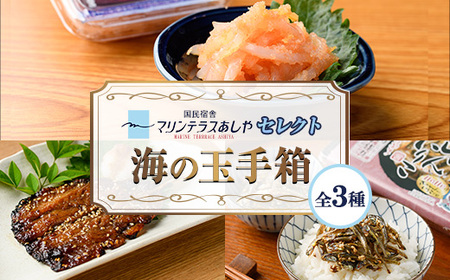 筑前芦屋 海の玉手箱セット(全3種) 明太 明太子 めんたい めんたいこ 海鮮 魚介 魚卵 いか イカ いかめんたい いか明太 いわし イワシ 鰯 いわしみりん あしやみりん みりんぼし いりこ セット 名物 おかず おつまみ 晩酌 冷凍【マリンテラスあしや】as13-009
