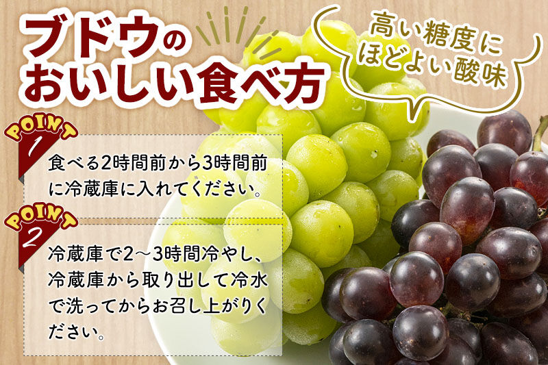 《先行受付》シャインマスカット・ピオーネ・バイオレットキング 3房セット（合計約1.5kg）秋田県 由利本荘市産 八紘園 [葡萄 ブドウ ぶどう フルーツ 果物 スイーツ 食べ比べ セット シャインマ